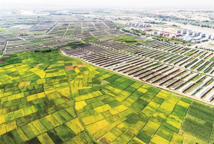 1753321761832535.jpg 10d79f6540f0e55b389b66b708d7441b_auto-orient,1.jpg